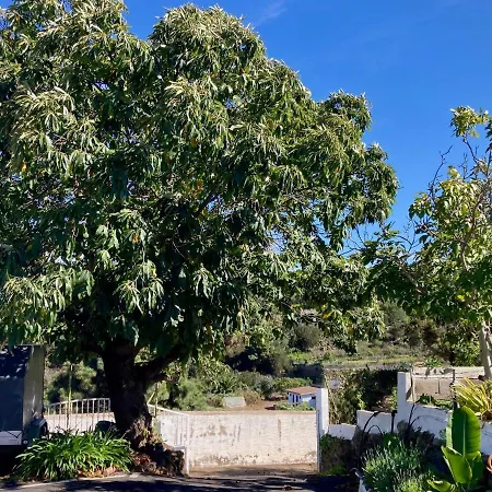 Finca De La Msica - Classic *